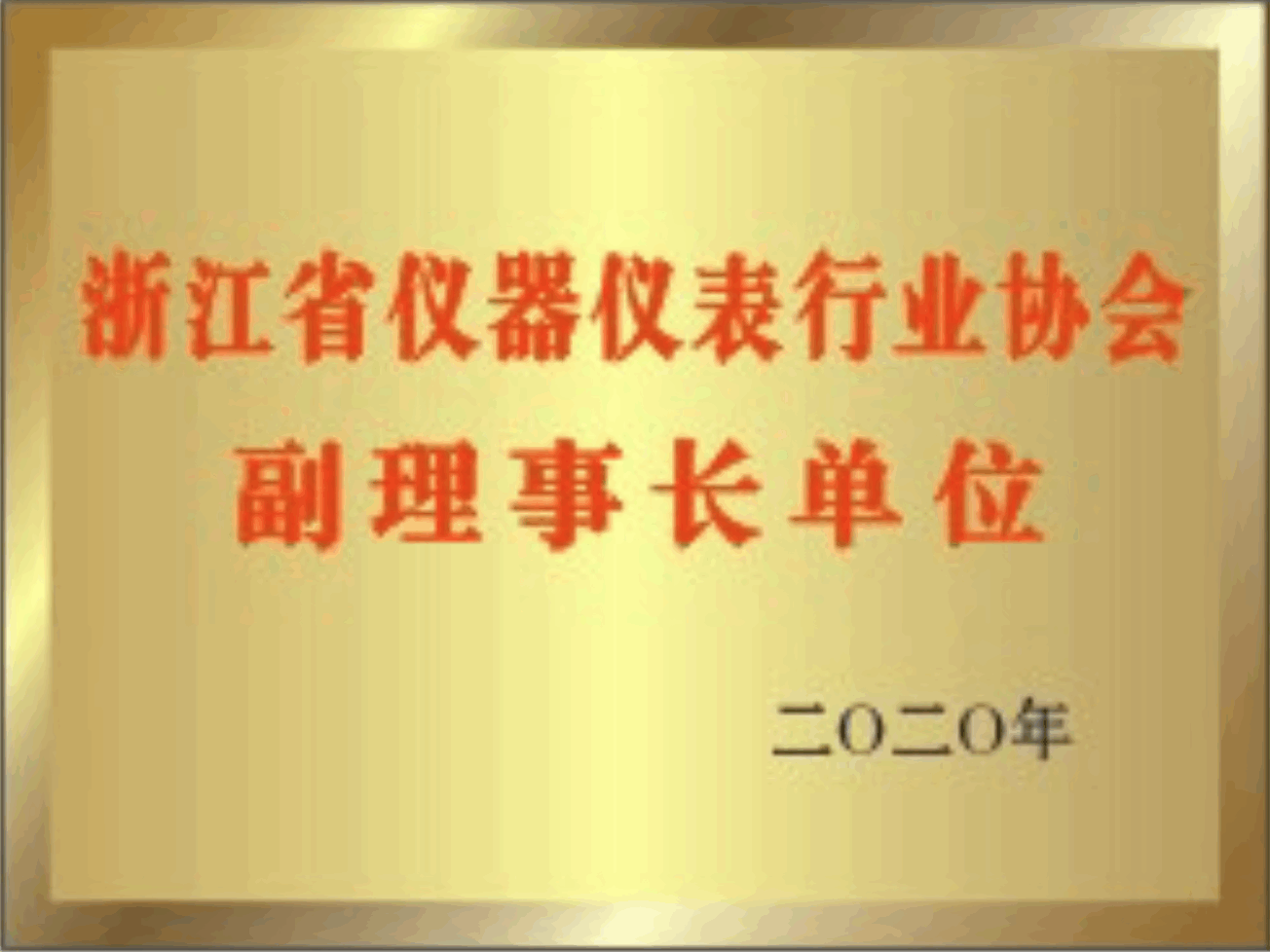 浙江省儀器儀表</br>行業(yè)協(xié)會(huì)副理事長單位